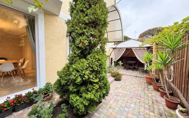 Солнце Тургенева