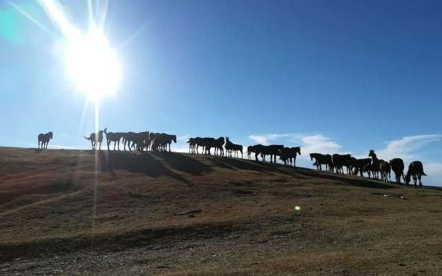 Hillside Villa With Swimming Pool and Jacuzzi - Frasassi Caves