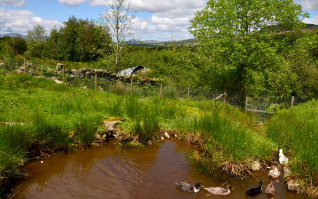 Holiday Home Ganllwyd