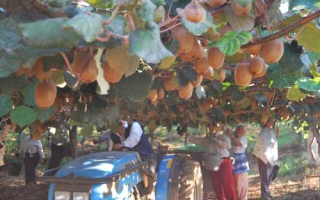 Agriturismo Torre Cristina