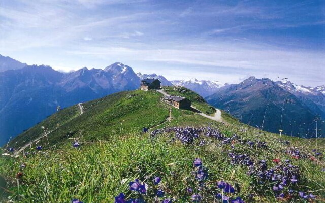Anonyme Appartments Stubaital