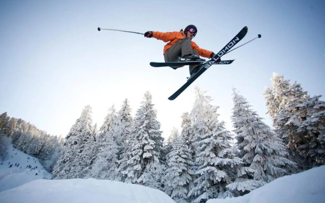 Borovets Gardens Studio D36