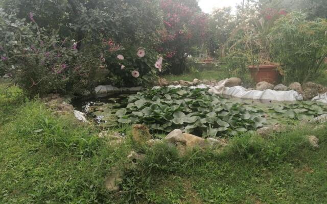 Casa delle Rose Agave