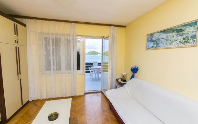 Apartment Branka