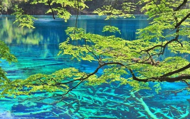 Sheraton Jiuzhaigou Resort