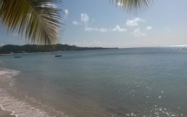 Grand Anse Beach Palace