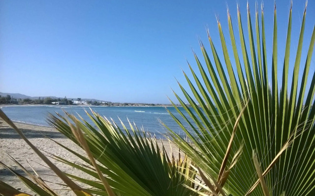 Doron Hotel Delfini