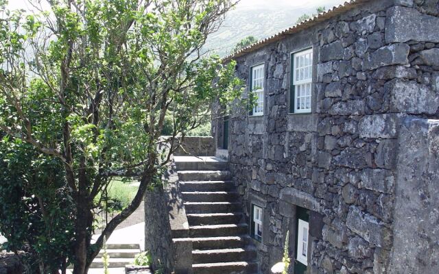 Houses In Pico