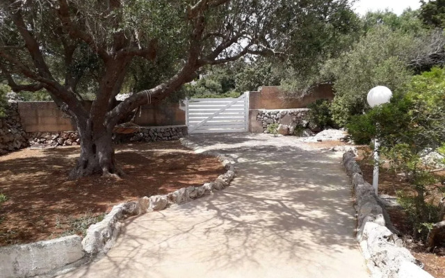 Scogliera del Gabbiano