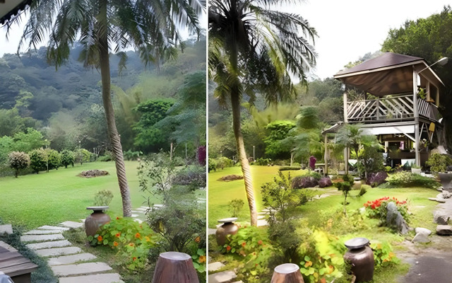 Taiwan Reishi Expert Bed and Breakfast