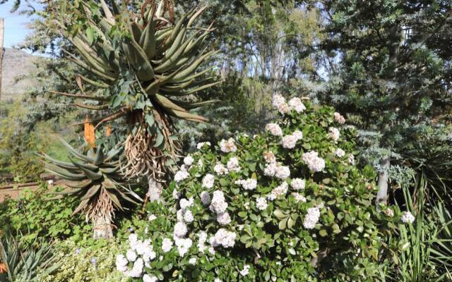 Karoo Pride En Route 62