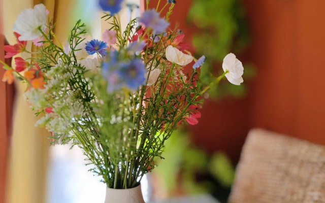 Paula Pool Apartment Adeje