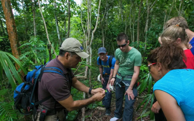 Mayan World Adventures