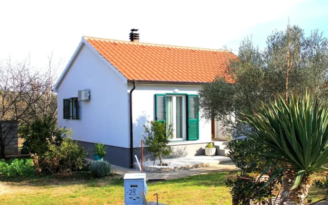 Pavica K - H