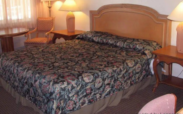 Safari Inn - Chico