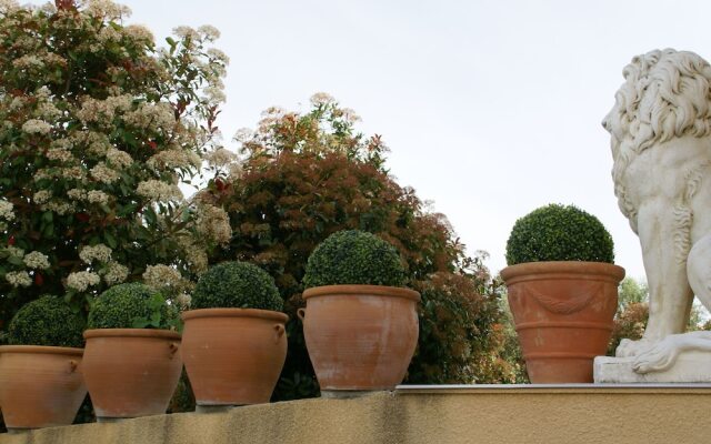 Soothing Holiday Home in Sainte-maxime With Swimming Pool