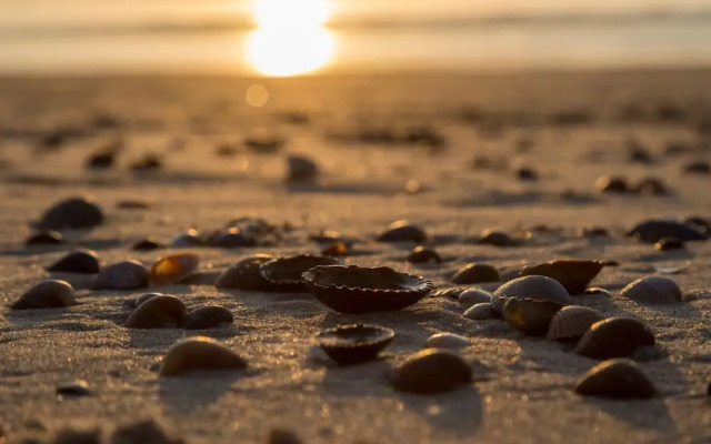 Romantic Garden Stay