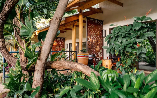 Shongwe Oasis