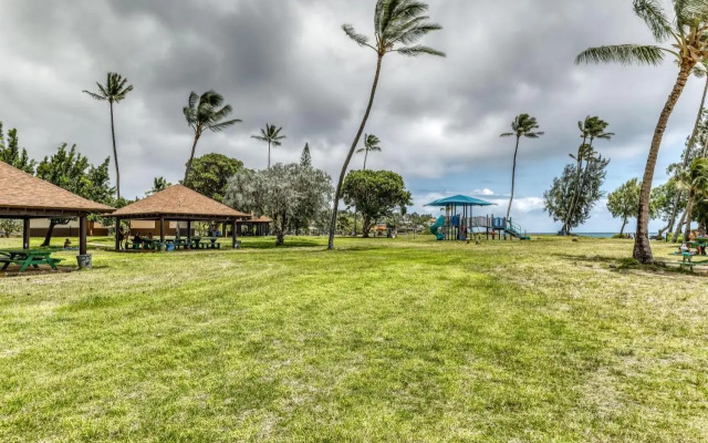 Manualoha 203
