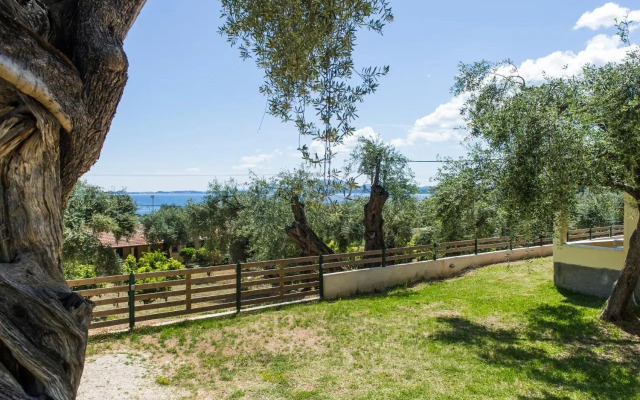 Renata Rooms & Studios