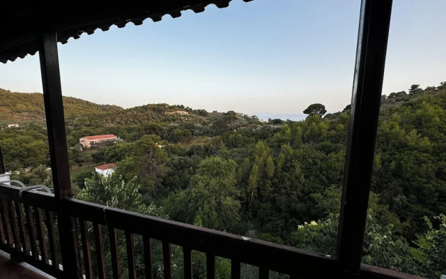 Eagle Nest Skiathos