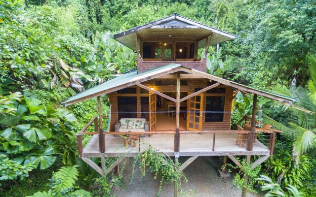 Finca Bellavista Treehouse Community