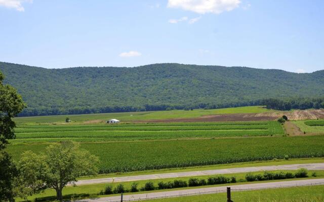 Mountain Cove Farms Resort
