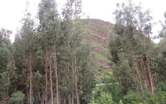 Hostal Ayllu