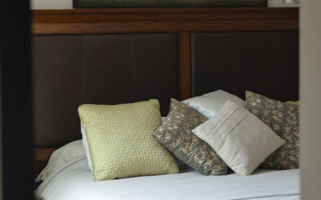 Lotus-7 by Playa District