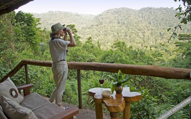 Sanctuary Gorilla Forest Camp