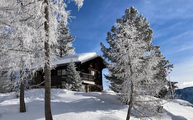 Chalet Balfrin Alpweg 9 Postfach 2039 Riederalp