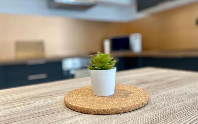 Bel appartement T2 de 50 m², spacieux et lumineux