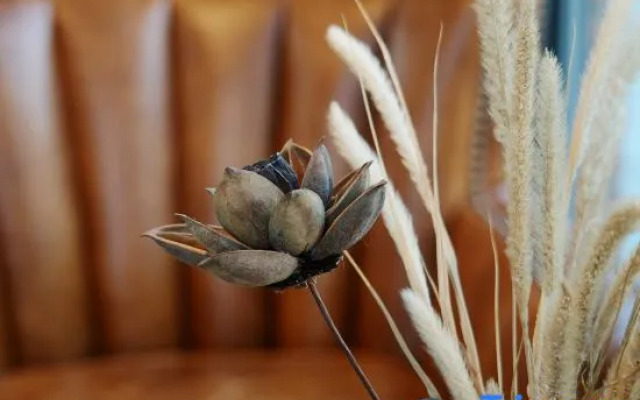 Beijing Jungle Wild Luxury Resort