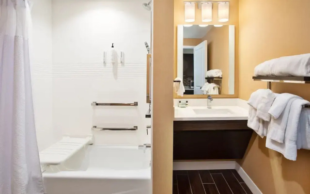 TownePlace Suites by Marriott Detroit Belleville