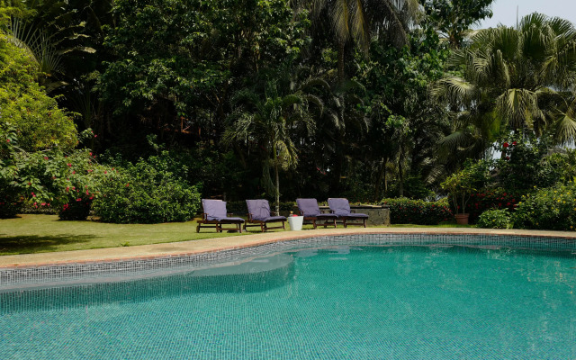Bom Bom – Principe Collection