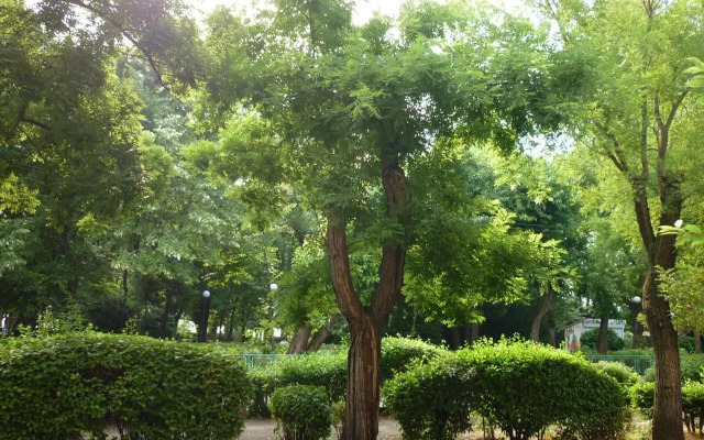 Sea Garden Plaza Apartment