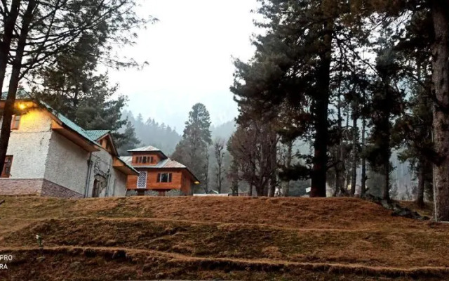 Pahalgam Woods