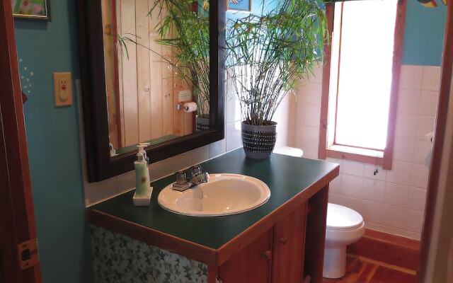 Blaeberry Mountain Lodge