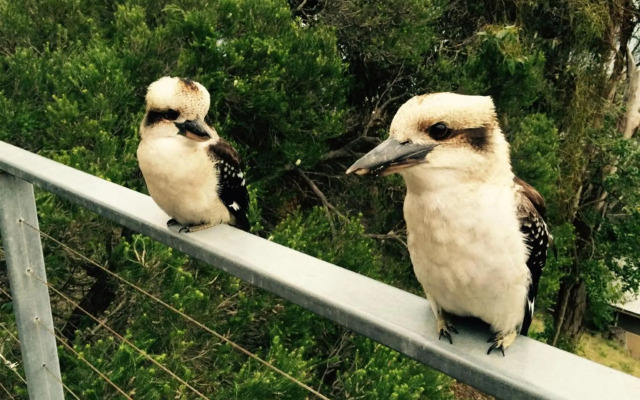 Ocean View with Views Galore