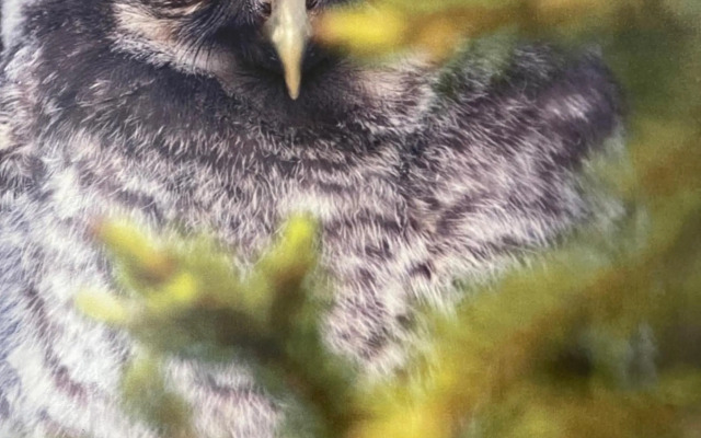 Дом у спа-центра и озера