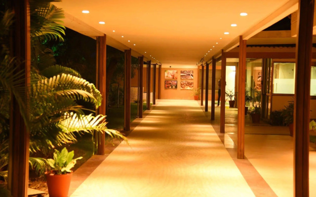 Palm Green Club