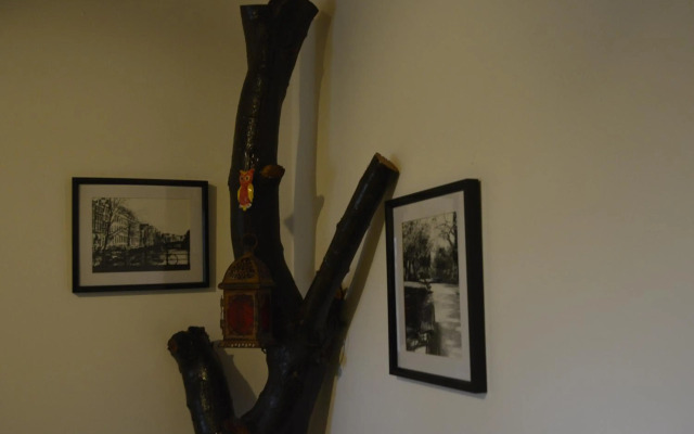 Villaggio Naif Mimosa