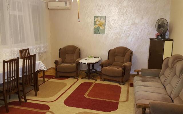 Luxury Apartments in Center
