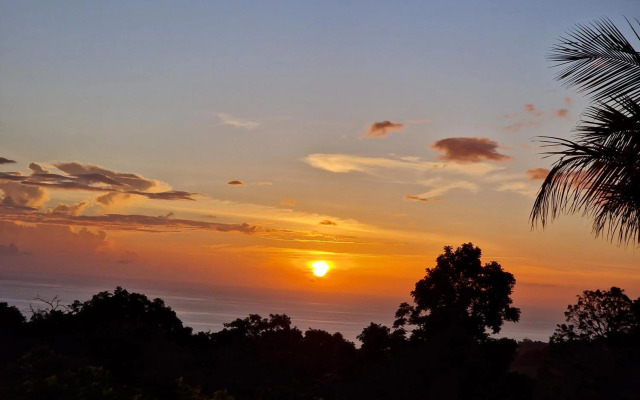 Beautifull Wooden House