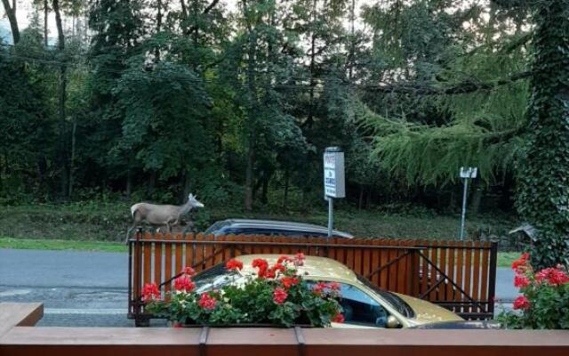 Pokoje Gościnne U Wandy