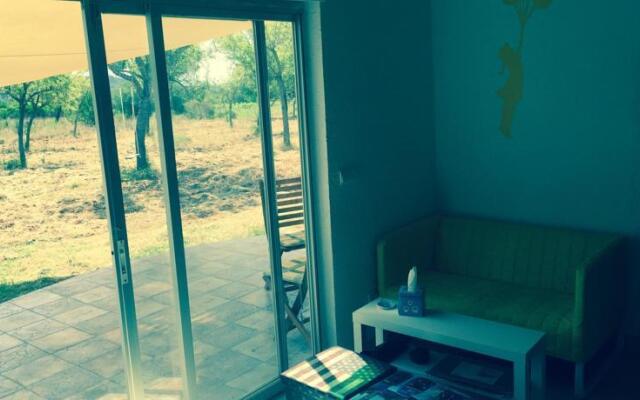 Holiday Villa in Ibiza