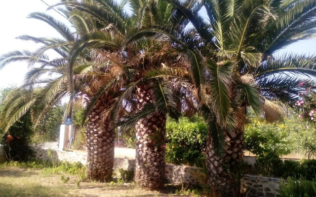 Guesthouse Karidia