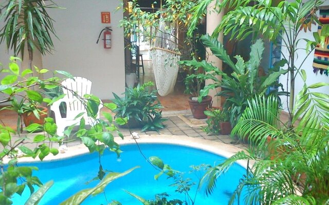 Hotel Banana Boutique & Spa by Paradise Hotels - 5th Av Playa del Carmen