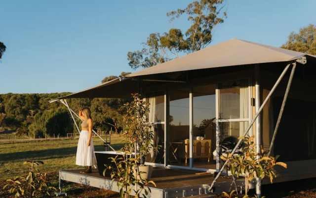 CANVS by CABN Seppeltsfield Barossa