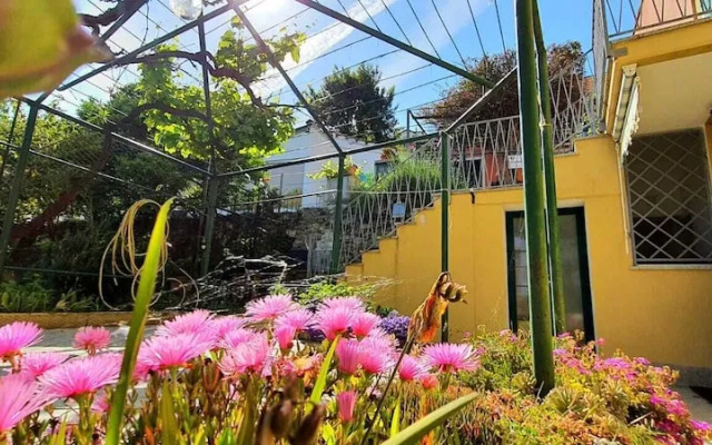 Villa Mimosa #Bluchalet